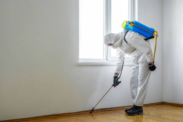 Best Flea Control Services  in Lapeer, MI