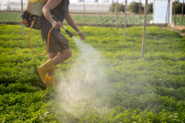 Best Best Pest Control Companies  in Lapeer, MI