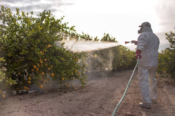 Best Best Pest Control Companies  in Lapeer, MI