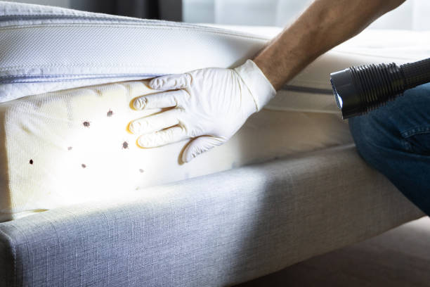 Best Pest Control Near Me  in Lapeer, MI