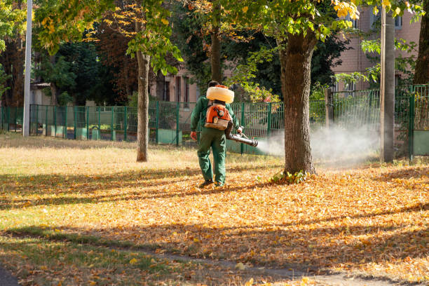 Best Spider Control Near Me  in Lapeer, MI