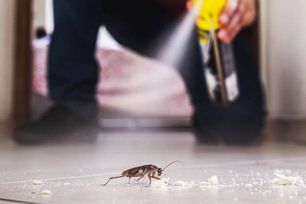 Best Cockroach Control Services  in Lapeer, MI