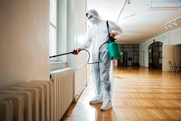 Best Pest Inspection Near Me  in Lapeer, MI