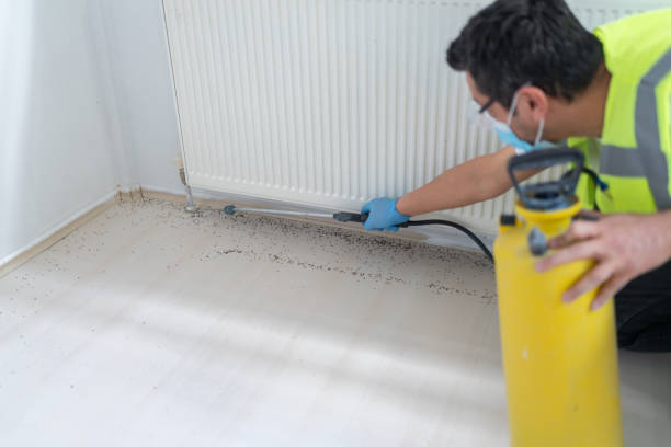 Reliable Lapeer, MI Pest Control Solutions