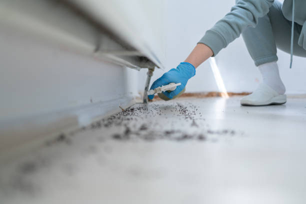 Best Wildlife Control Services  in Lapeer, MI